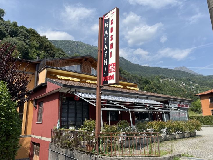 Hayashi Sushi Fusion