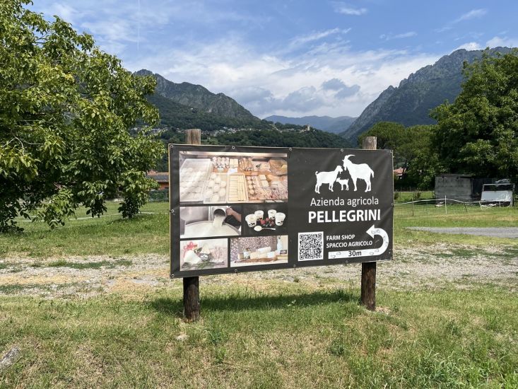 Azienda Agricola Pellegrini 