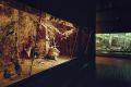 Museo Cantonale di Storia Naturale - Natuur museum