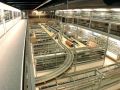 Galleria Baumgartner - Modeltreinen