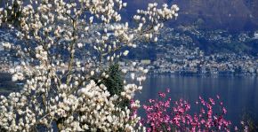 Parco Botanico del Gambarogno